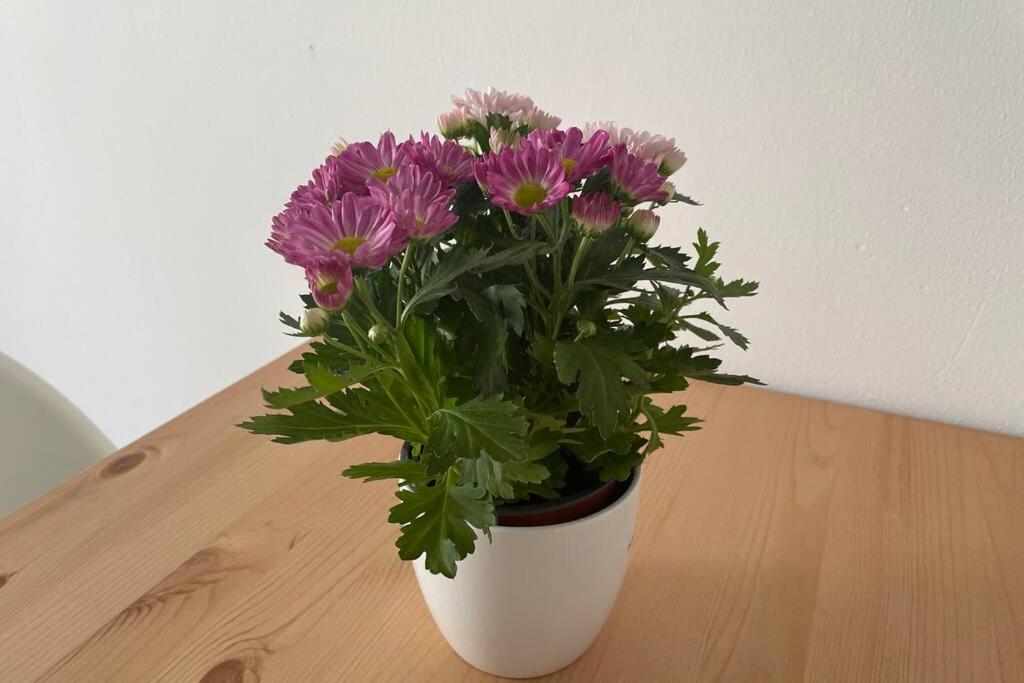 Apartament Cosy Studio Near Central Station Wiedeń Zewnętrze zdjęcie
